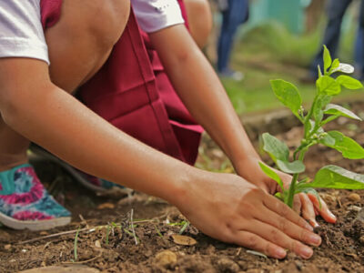 Going Green: Outdoor Education for Sustainable Development (1 week)
